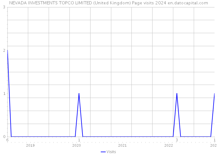 NEVADA INVESTMENTS TOPCO LIMITED (United Kingdom) Page visits 2024 