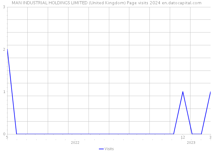 MAN INDUSTRIAL HOLDINGS LIMITED (United Kingdom) Page visits 2024 