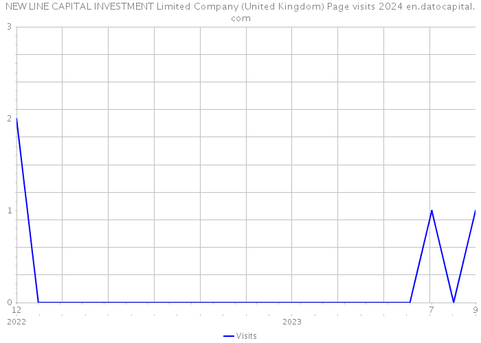 NEW LINE CAPITAL INVESTMENT Limited Company (United Kingdom) Page visits 2024 