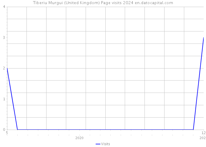 Tiberiu Murgui (United Kingdom) Page visits 2024 