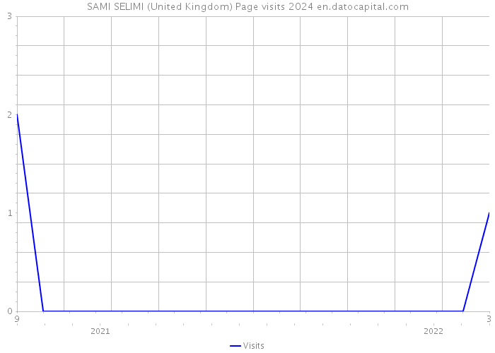 SAMI SELIMI (United Kingdom) Page visits 2024 