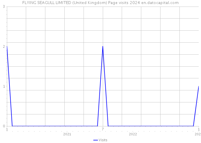 FLYING SEAGULL LIMITED (United Kingdom) Page visits 2024 
