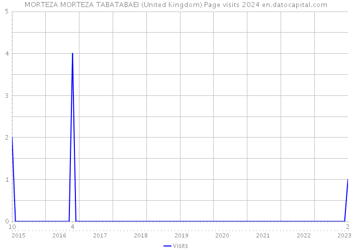 MORTEZA MORTEZA TABATABAEI (United Kingdom) Page visits 2024 