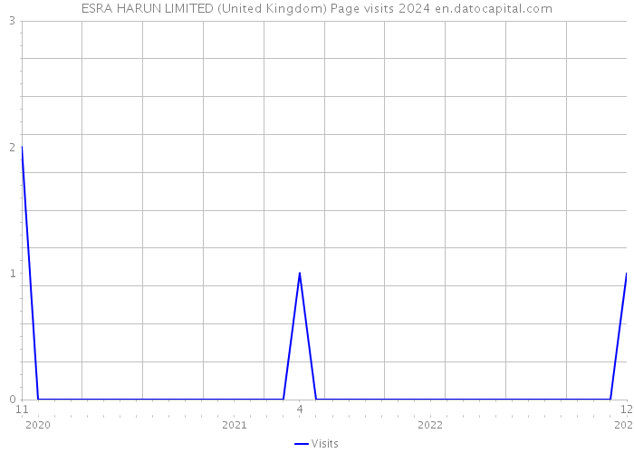 ESRA HARUN LIMITED (United Kingdom) Page visits 2024 
