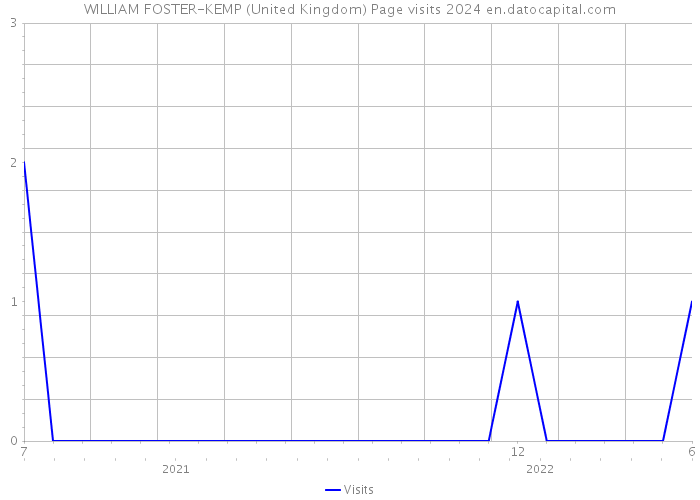 WILLIAM FOSTER-KEMP (United Kingdom) Page visits 2024 