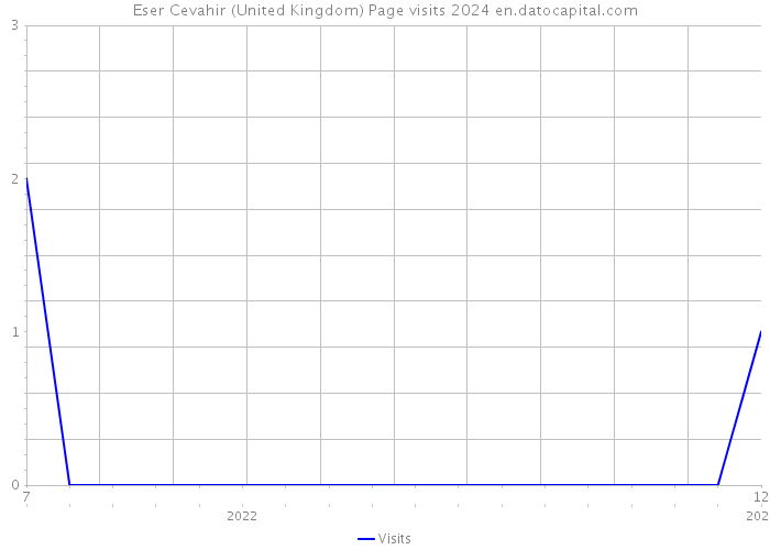 Eser Cevahir (United Kingdom) Page visits 2024 