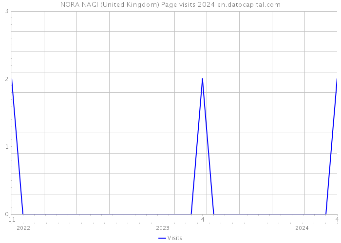 NORA NAGI (United Kingdom) Page visits 2024 