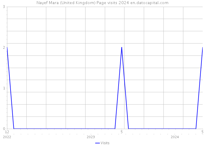 Nayef Mara (United Kingdom) Page visits 2024 