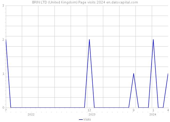 BRIN LTD (United Kingdom) Page visits 2024 