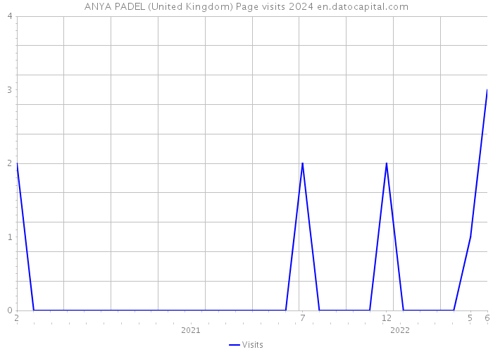 ANYA PADEL (United Kingdom) Page visits 2024 