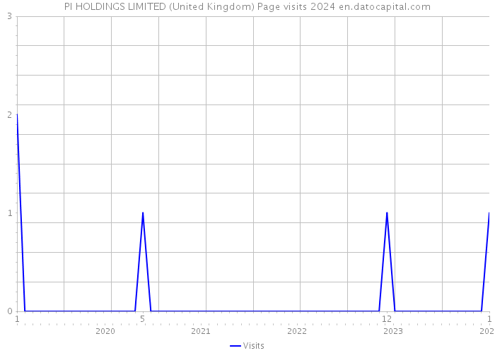 PI HOLDINGS LIMITED (United Kingdom) Page visits 2024 