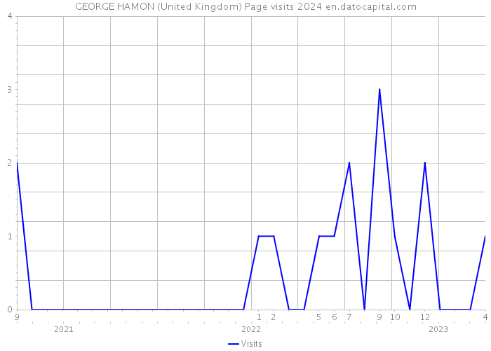 GEORGE HAMON (United Kingdom) Page visits 2024 
