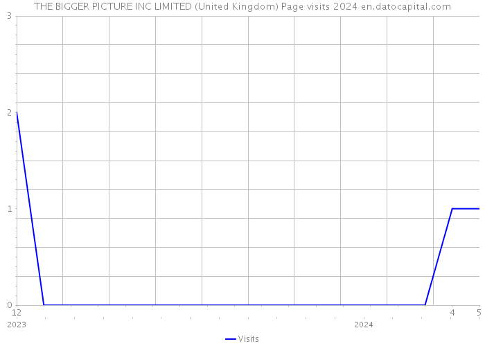 THE BIGGER PICTURE INC LIMITED (United Kingdom) Page visits 2024 