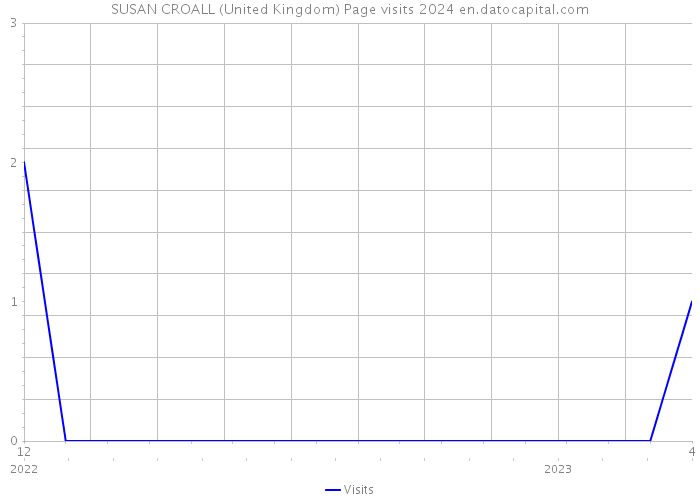 SUSAN CROALL (United Kingdom) Page visits 2024 