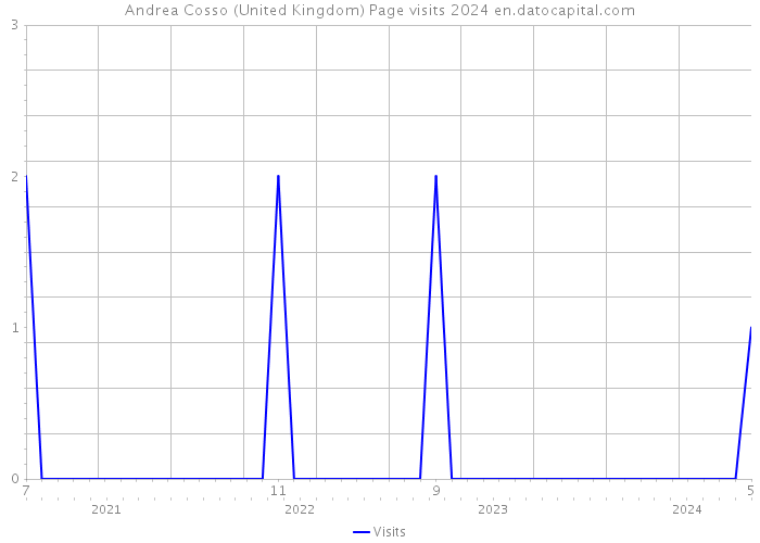 Andrea Cosso (United Kingdom) Page visits 2024 