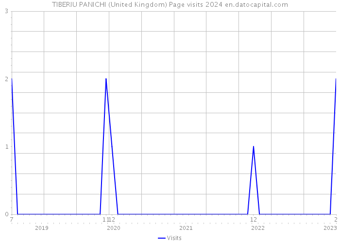 TIBERIU PANICHI (United Kingdom) Page visits 2024 