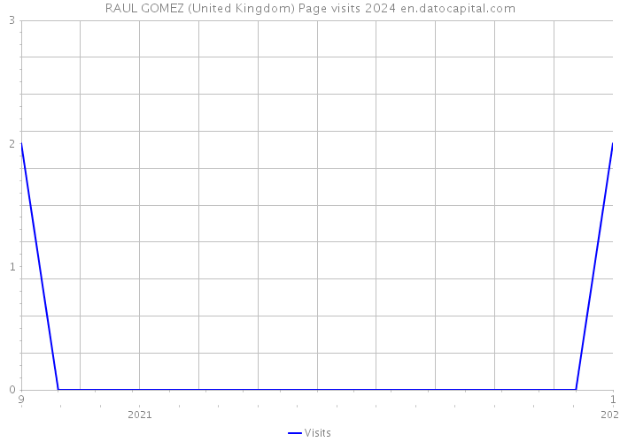 RAUL GOMEZ (United Kingdom) Page visits 2024 