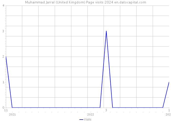 Muhammad Jarral (United Kingdom) Page visits 2024 
