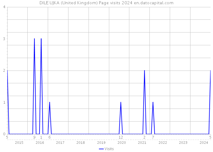 DILE UJKA (United Kingdom) Page visits 2024 