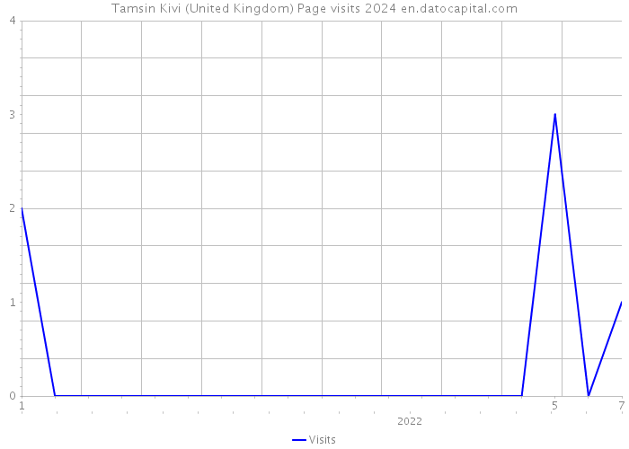Tamsin Kivi (United Kingdom) Page visits 2024 