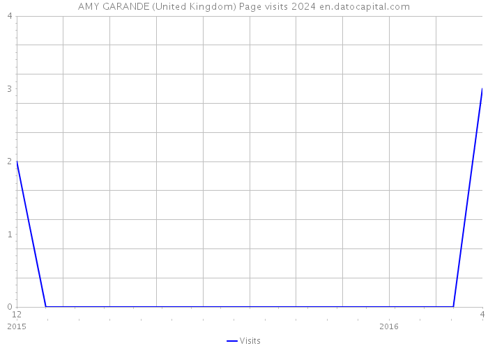 AMY GARANDE (United Kingdom) Page visits 2024 
