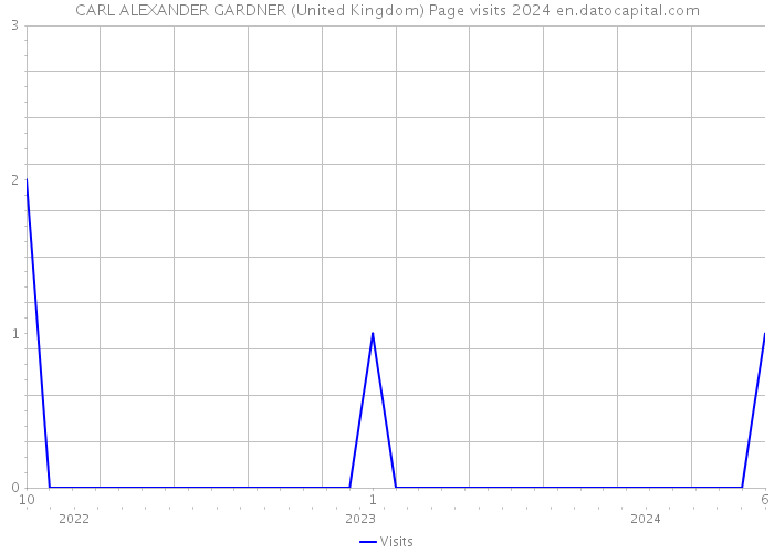 CARL ALEXANDER GARDNER (United Kingdom) Page visits 2024 