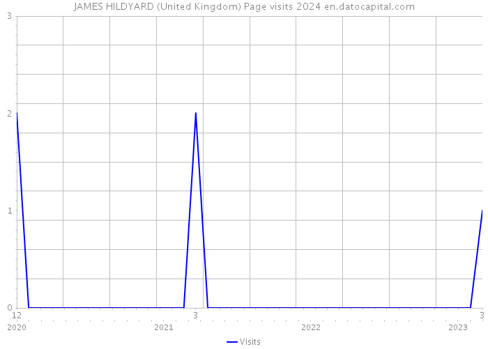 JAMES HILDYARD (United Kingdom) Page visits 2024 