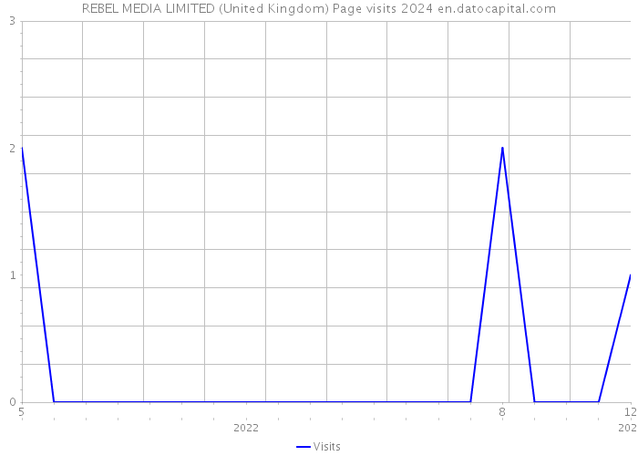 REBEL MEDIA LIMITED (United Kingdom) Page visits 2024 