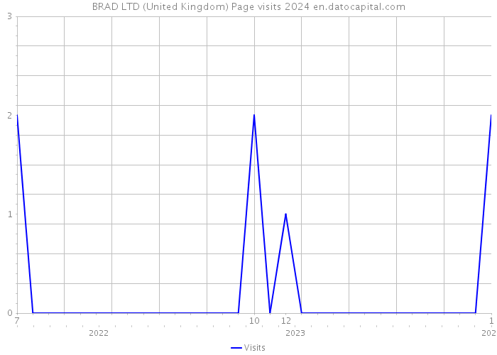 BRAD LTD (United Kingdom) Page visits 2024 