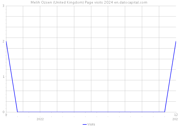 Melih Ozsen (United Kingdom) Page visits 2024 