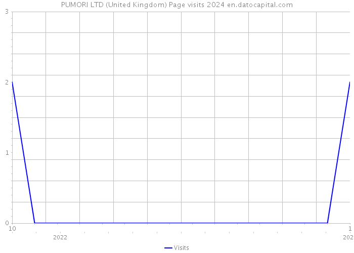 PUMORI LTD (United Kingdom) Page visits 2024 