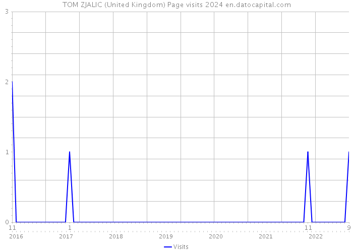 TOM ZJALIC (United Kingdom) Page visits 2024 