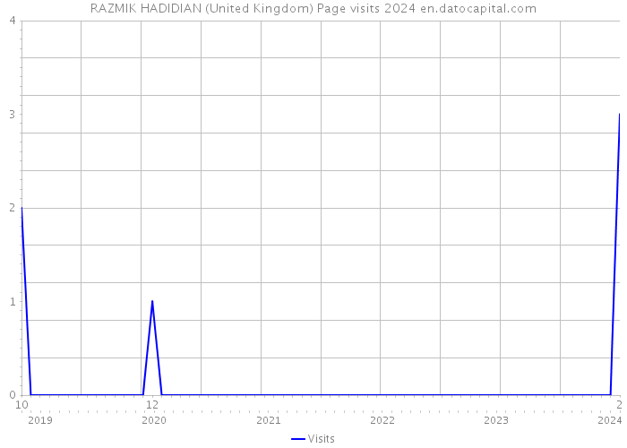 RAZMIK HADIDIAN (United Kingdom) Page visits 2024 