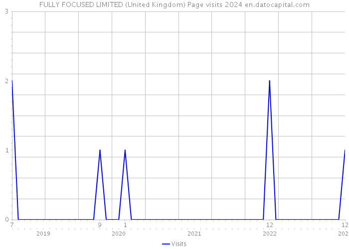 FULLY FOCUSED LIMITED (United Kingdom) Page visits 2024 