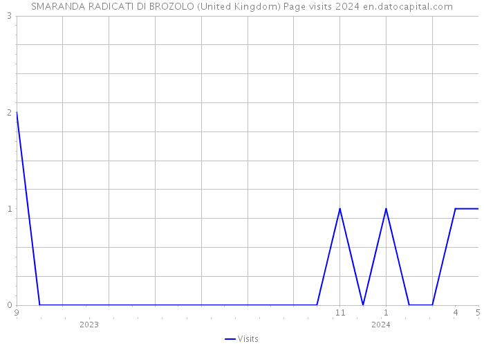 SMARANDA RADICATI DI BROZOLO (United Kingdom) Page visits 2024 