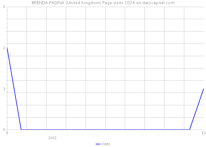 BRENDA PADINA (United Kingdom) Page visits 2024 