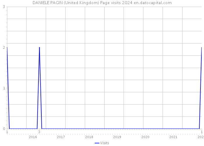 DANIELE PAGIN (United Kingdom) Page visits 2024 
