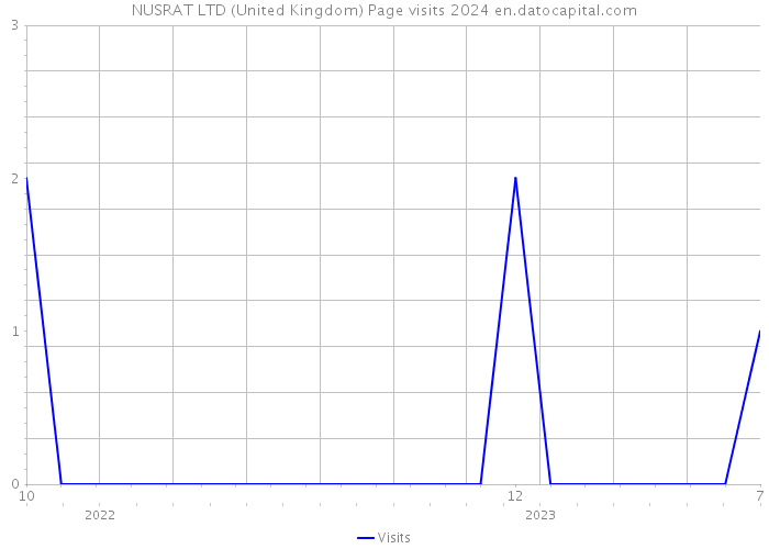 NUSRAT LTD (United Kingdom) Page visits 2024 