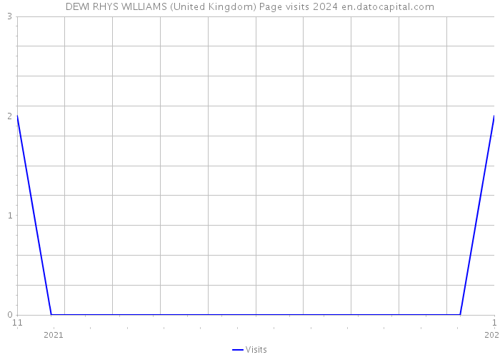 DEWI RHYS WILLIAMS (United Kingdom) Page visits 2024 