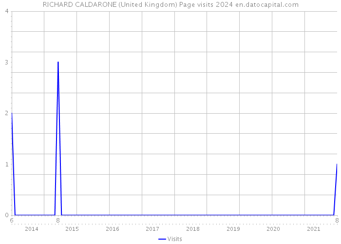 RICHARD CALDARONE (United Kingdom) Page visits 2024 