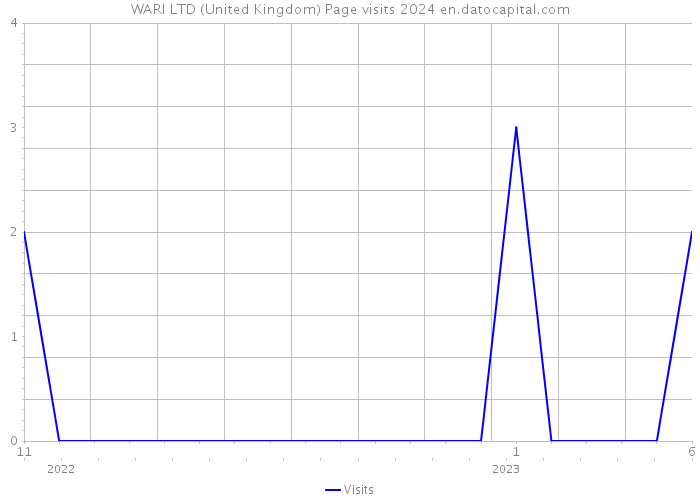 WARI LTD (United Kingdom) Page visits 2024 