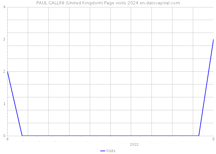 PAUL GALLINI (United Kingdom) Page visits 2024 