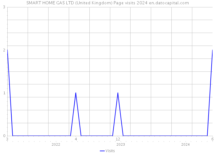 SMART HOME GAS LTD (United Kingdom) Page visits 2024 