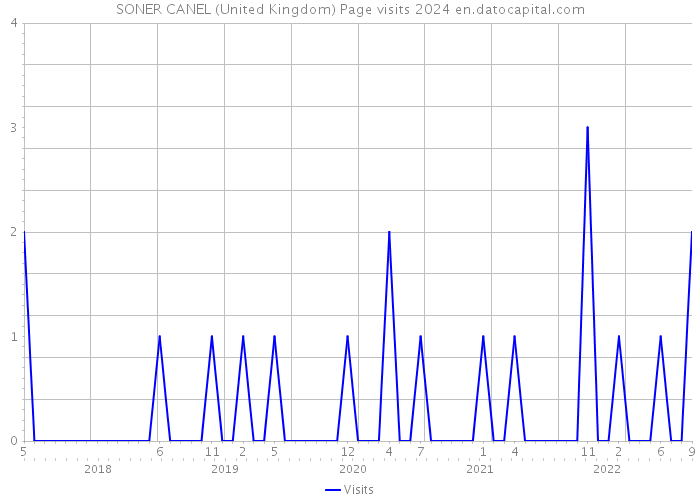 SONER CANEL (United Kingdom) Page visits 2024 