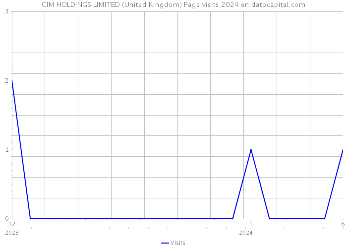 CIM HOLDINGS LIMITED (United Kingdom) Page visits 2024 