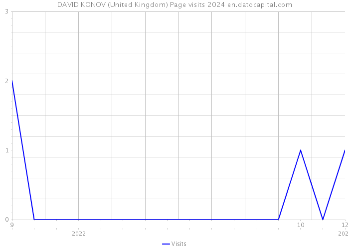 DAVID KONOV (United Kingdom) Page visits 2024 