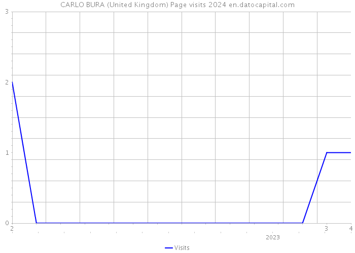 CARLO BURA (United Kingdom) Page visits 2024 