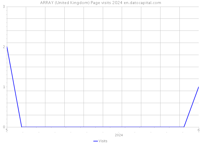 ARRAY (United Kingdom) Page visits 2024 