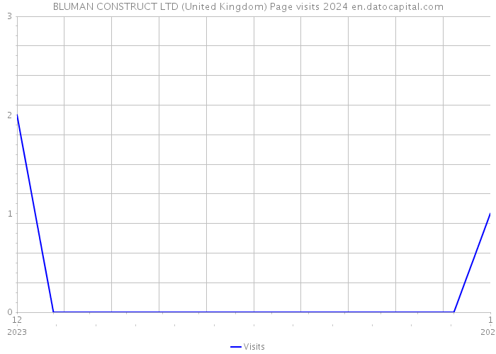 BLUMAN CONSTRUCT LTD (United Kingdom) Page visits 2024 