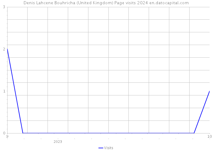Denis Lahcene Bouhricha (United Kingdom) Page visits 2024 
